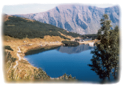 Západné Tatry - ROHÁČE-hrebeň dlhý 37 km, 26 vrcholov nad 2000 m n.m.,20 plies,8 vodopádov ( 23 m vysoký Roháčsky vodopád). Bohaté rastlinné spoločenstvá, krasové javy - jaskyne ( Brestová, Zadný úplaz )
